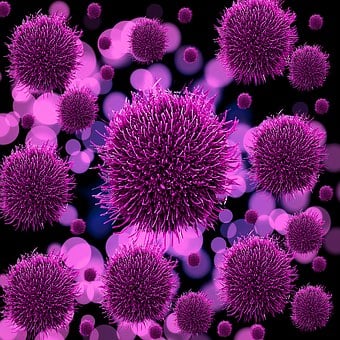 Bacterial-And-Viral-Treatment--in-Orson-Pennsylvania-Bacterial-And-Viral-Treatment-2959192-image
