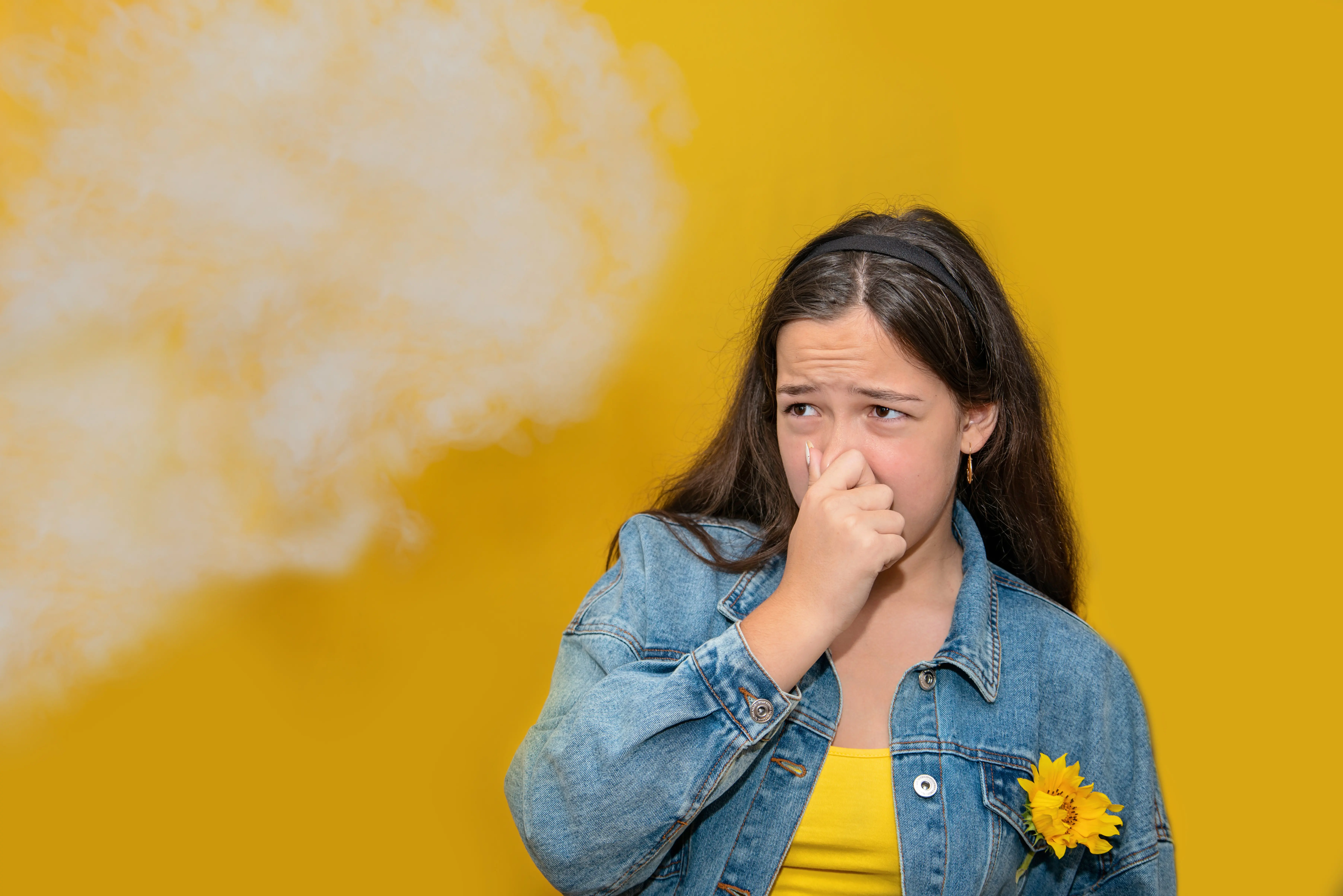 Odor-Removal--in-Gambrills-Maryland-Odor-Removal-2967752-image