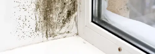 Mold-Remediation--in-Aurora-Colorado-mold-remediation-aurora-colorado.jpg-image